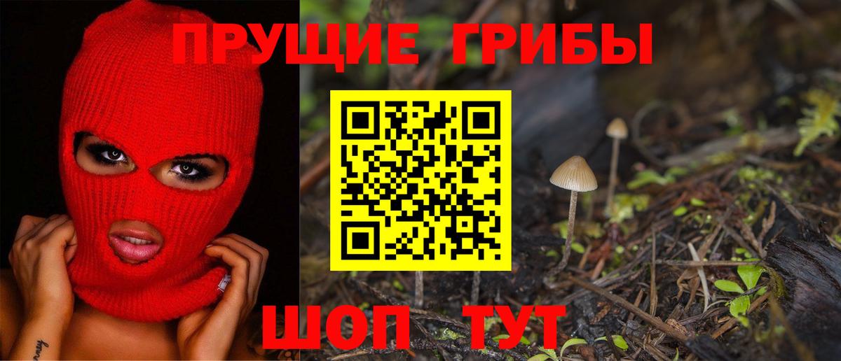 Псилоцибиновые грибы мухоморы  Вход с VPN  Баксан 
