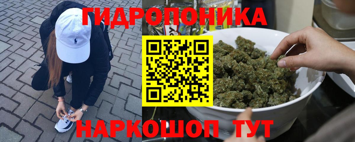 Каннабис сатива  Шишки марихуана OG Kush  Бошки Шишки THC 21%  Вход с VPN  Баксан 